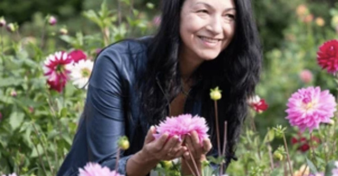 Why Women’s Hair Thins  image