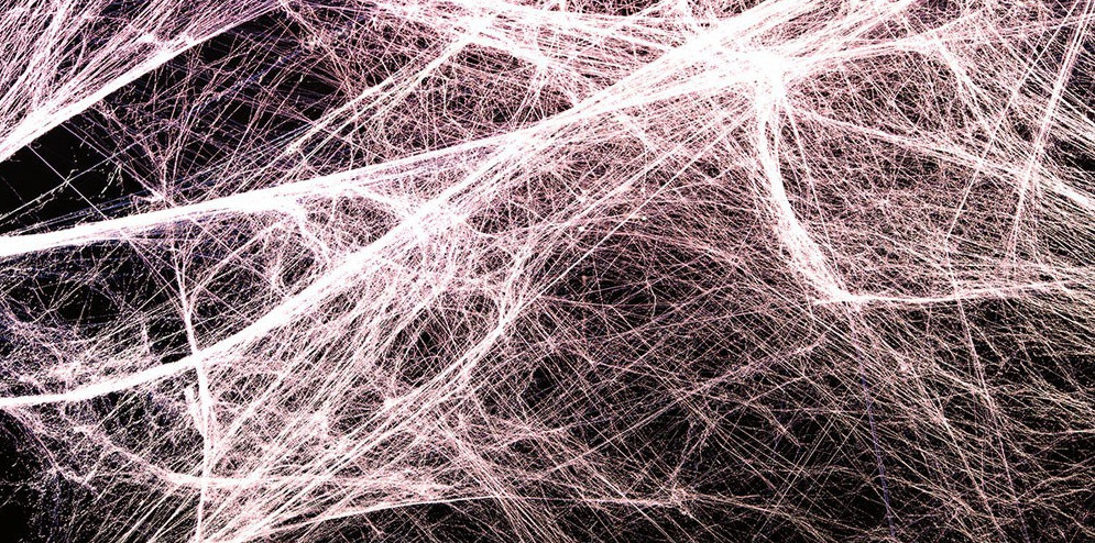 Spiderweb like myofascial