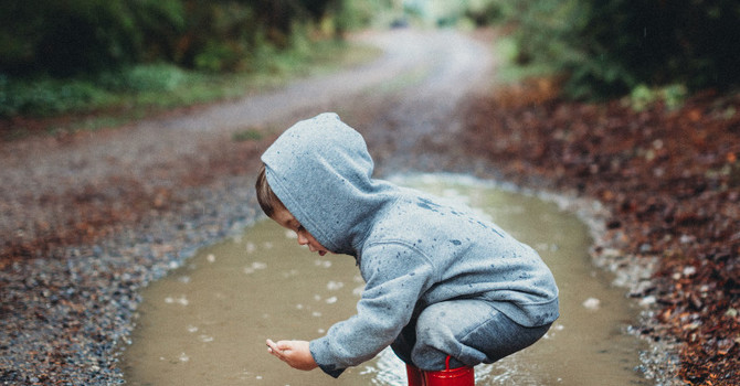 5 Ways Playing in Nature Supports Gross Motor Development image