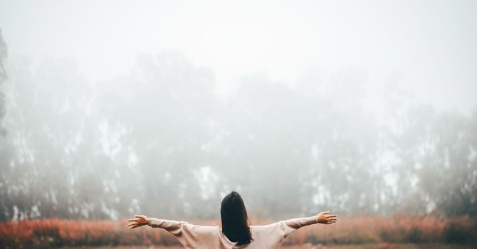 Instinctive Meditation