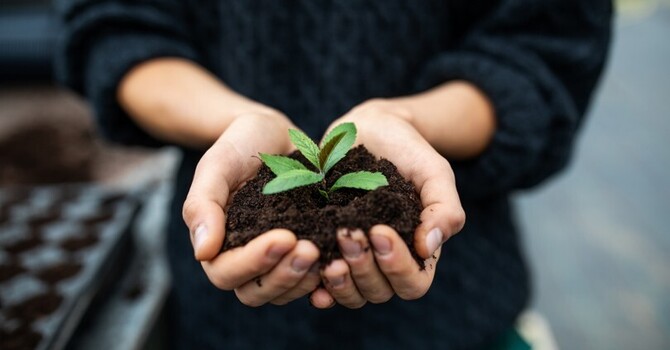 Mental Health First Aid