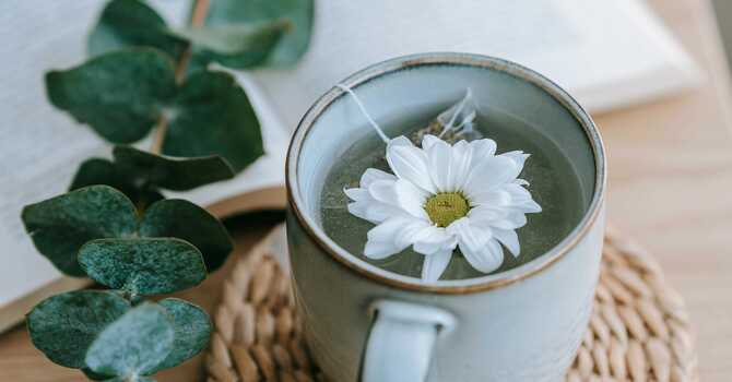 Integrative Health and Wellness