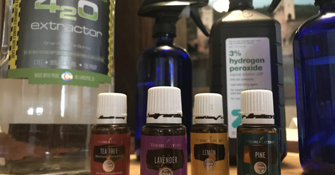 Healthy Happy Home image