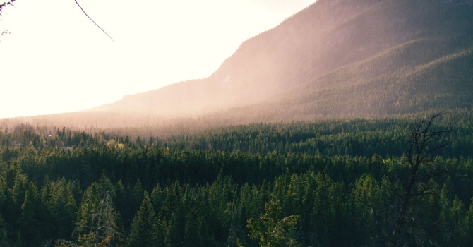 Additional Therapies