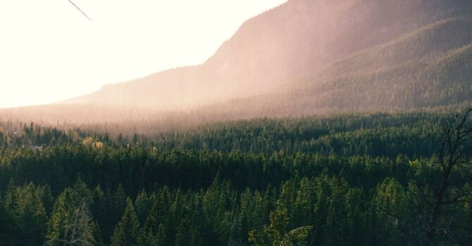 6-Pillar Balance: Chronic Disease Prevention | Reversal