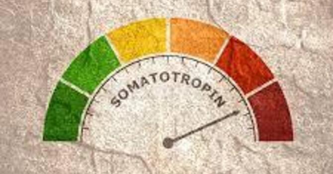 Short Stature Child: When to Worry image