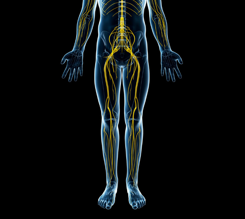 Neuropathy_chiropractor_tampa_2026 (1)