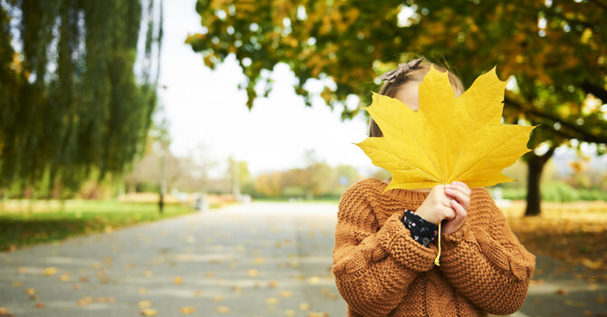  Welcoming the First Day of Fall: How Integrative Health and Acupuncture Can Support You image