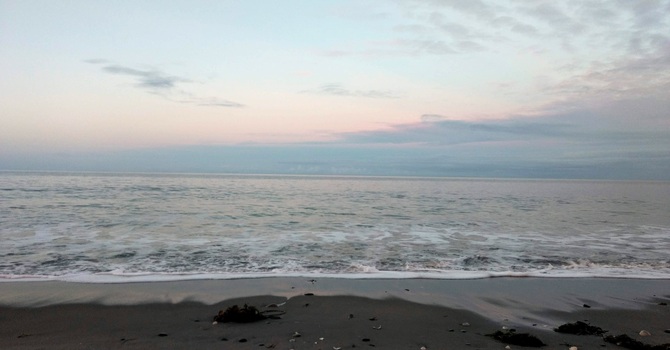 The Underrated Medicine of a Daily Walk image