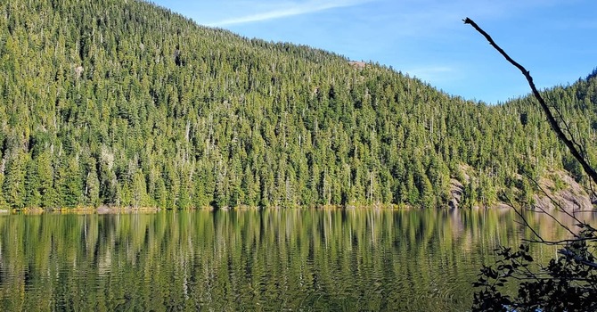 The Magic Touch of Massage for Headaches