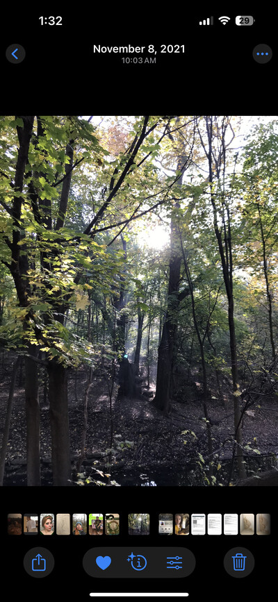 Book Your Free 30 minute Consultation 