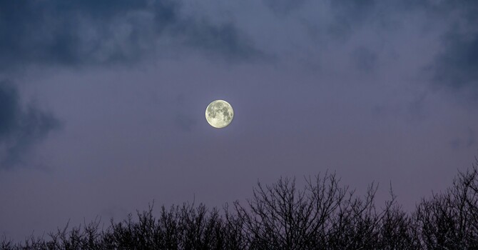 Connecting the Dots: 