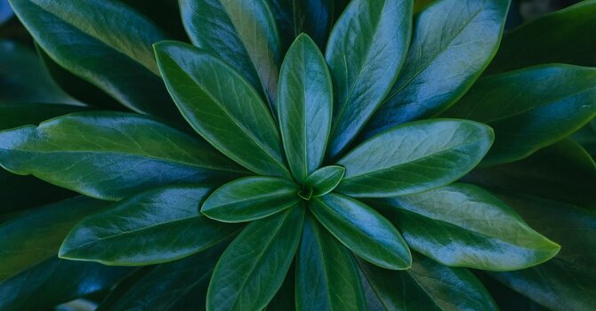 Re-centering Humanity image