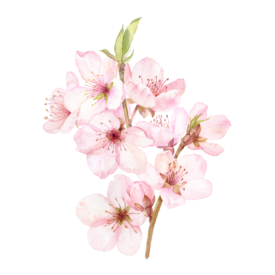 Feel Better, Move Better & Stay Stronger for Longer