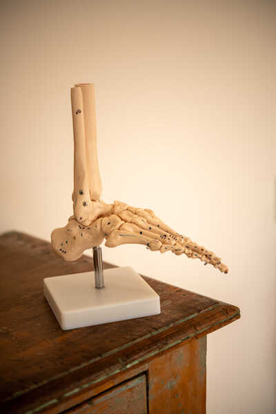 Link to: /services/training