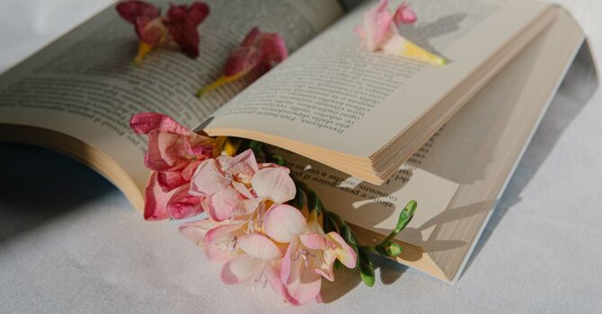 What Is Relationship Counselling and Can It Really Improve Your Relationship?