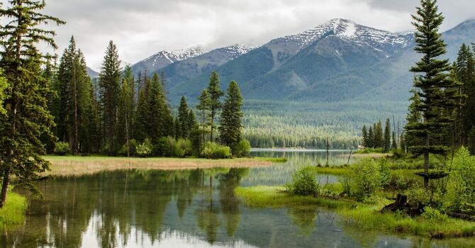 Adult ADD/ADHD Assessment and Treatment 