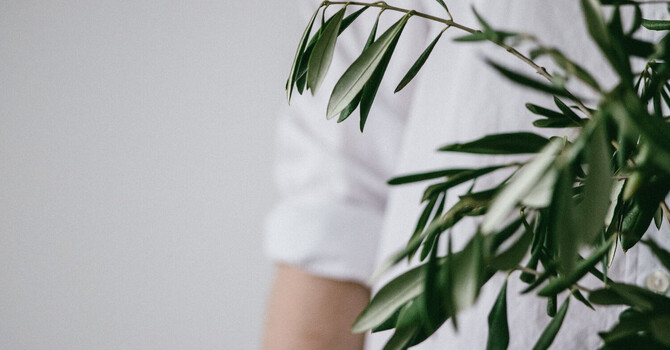 BDNP: Brain-Derived Neurotrophic Factor image