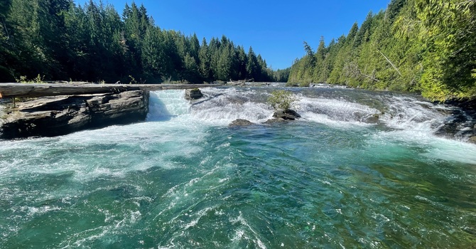 Grief and loss can be traumatic