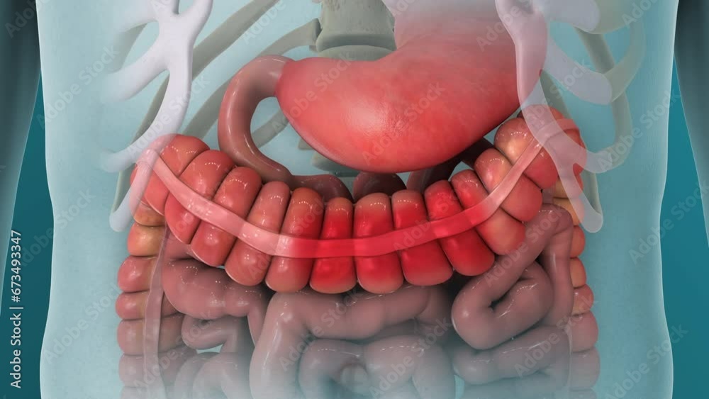 how to reconstitute ghk-cu 50mg pdf ghk-cu recommended daily dosage mg Reconstituting GHK-Cu 50mg: Volume, Units, and Step-by-Step how to reconstitute ghk-cu 50mg pdf ghk-cu recommended daily dosage mg Reconstituting GHK-Cu 50mg: Volume, Units, and Step-by-Step