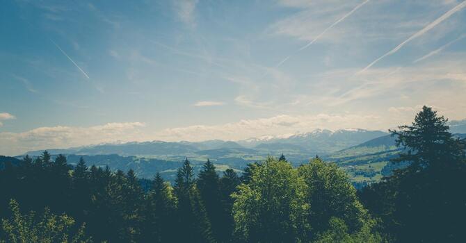 Sports Massage in Seattle — Boost Recovery & Enhance Performance