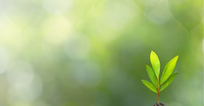 Understanding Life Transitions Therapy: How Counselling Can Help You Move Forward