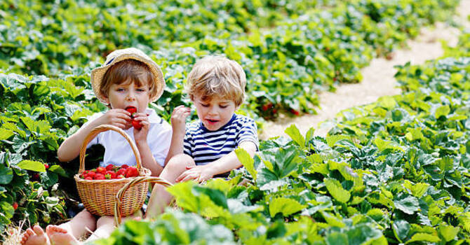 Bone Age 3 Years Delayed Growth Prognosis: What It Means for Your Child’s Future Height image