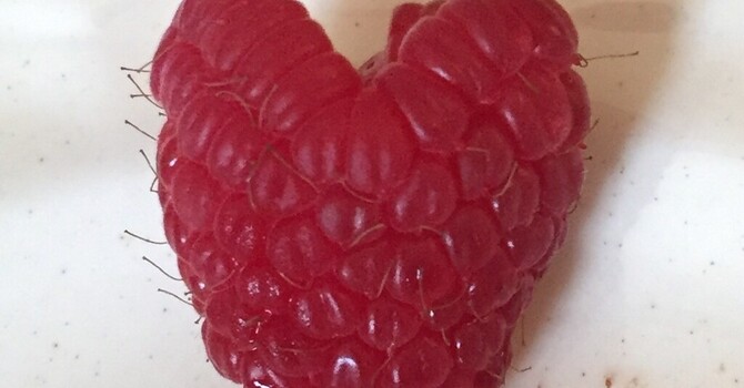 Naturopathic Medicine