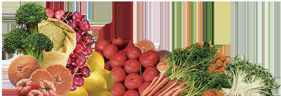 Whole Food Vitamin Supplements