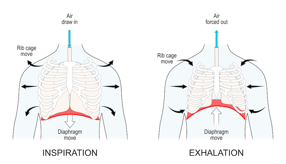 respirat_5