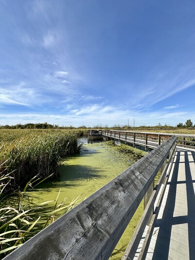 Book An Introductory Call