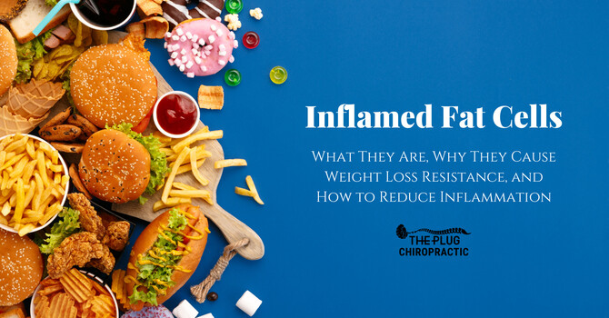 Inflamed Fat Cells image