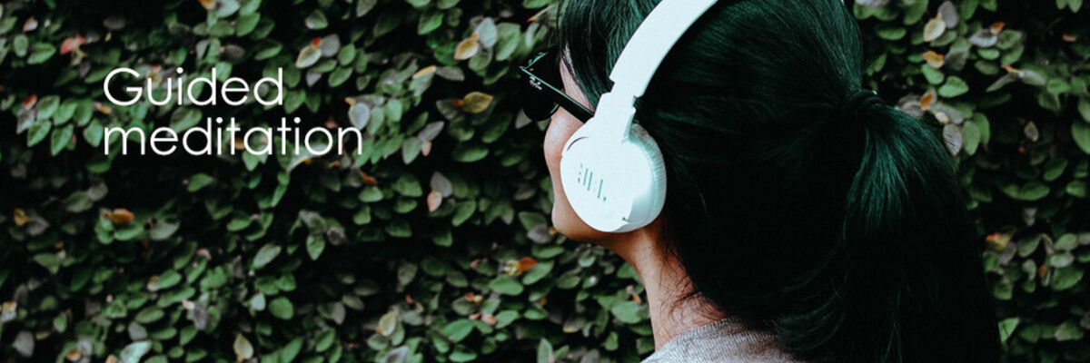 Alan Longcroft Comprehensive Chinese Medicine