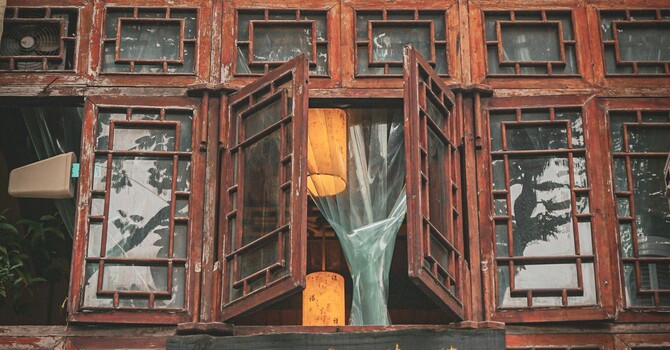 Finding Answers to our Health Concerns image