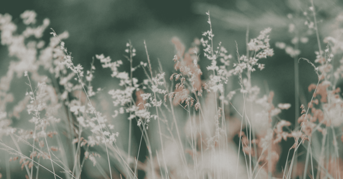 Functional Medicine