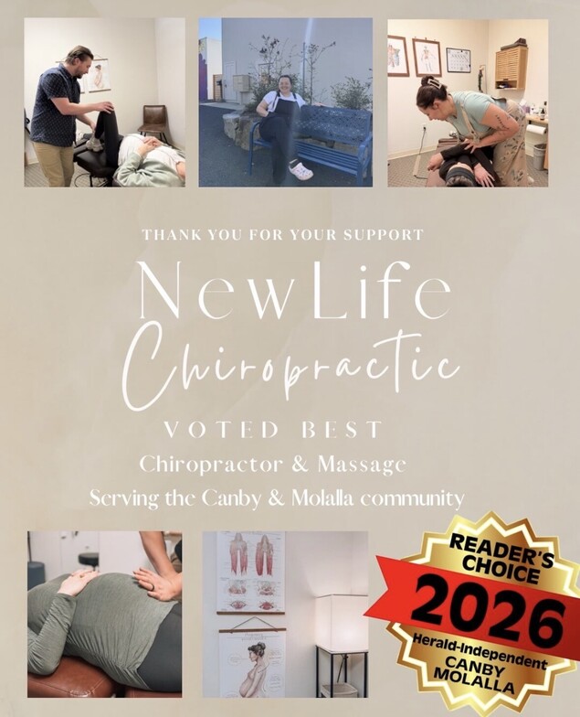 best chiropractor award