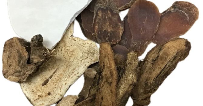 Modern Research May Have Just Found a Clue Why Licorice Root is in Almost Every Chinese Herbal Formula