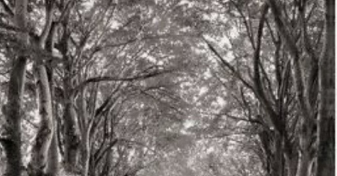 Psychotherapy