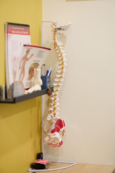 Spine model and information papers on desk with yellow wall