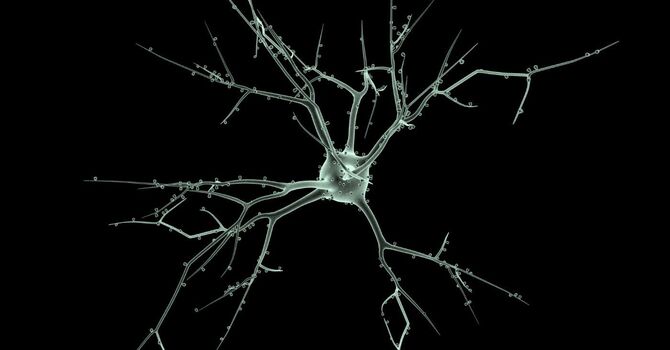 From NKT to the Square 1 System: The Evolution of Brain-Based Therapy