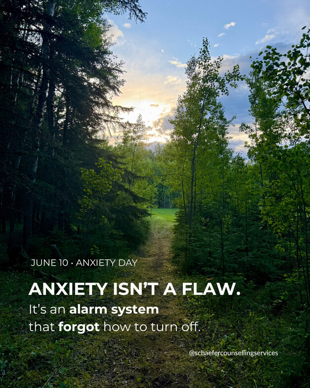 A dirt path winds through a dense green forest toward a bright clearing where the sun is breaking through the clouds.