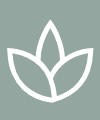 Holistic Approach Icon