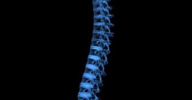 CHIROPRACTIC AN EFFECTIVE TREATMENT FOR SPINE PAIN image