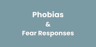 Phobia, Phobias, Panic Attack, Fear, Anxiety
