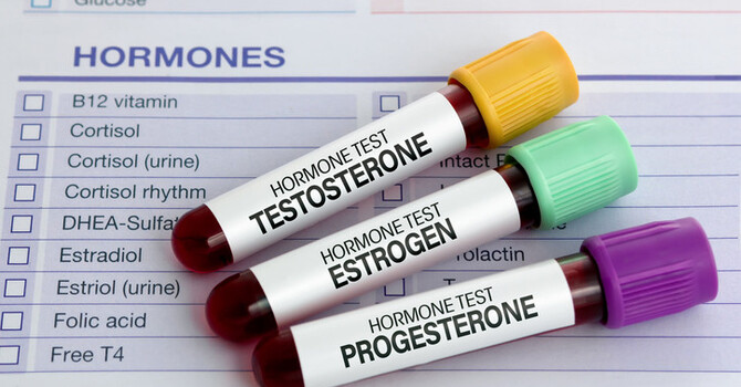 Hormone Replacement Therapy: BHRT and TRT