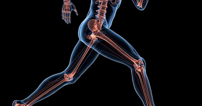 Sports Injury