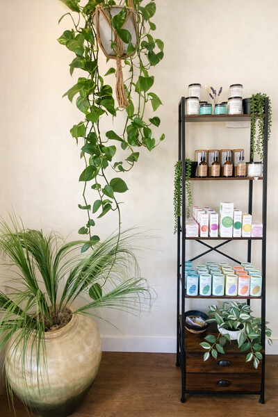 Herbal Medicine 