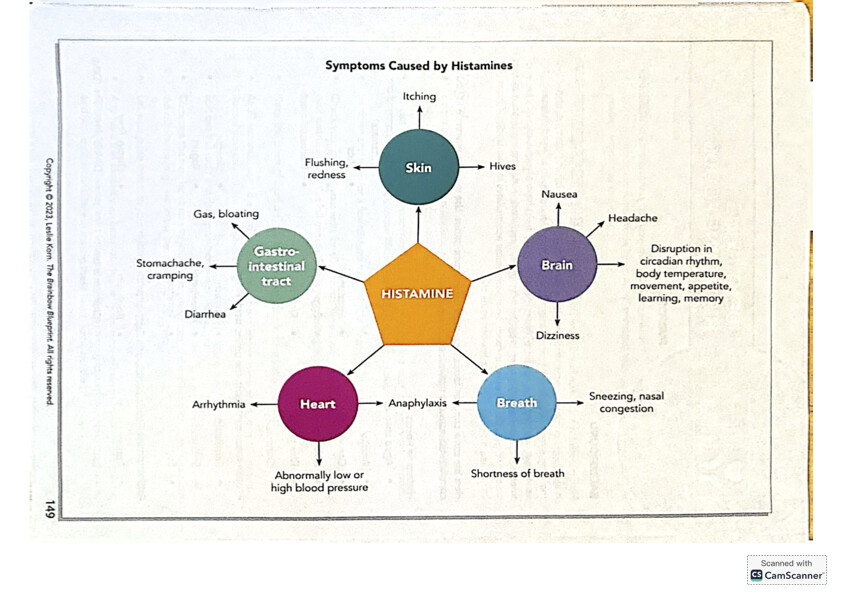 Histamine Symptoms Across Body Systems Dr. Leslie Korn