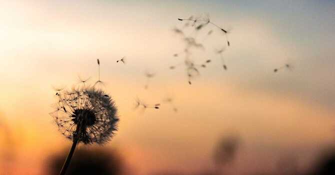 Wisdom of Letting Go and Moving On  image