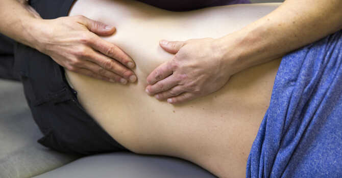 Manual Therapy 